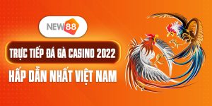 trực tiếp đá gà casino