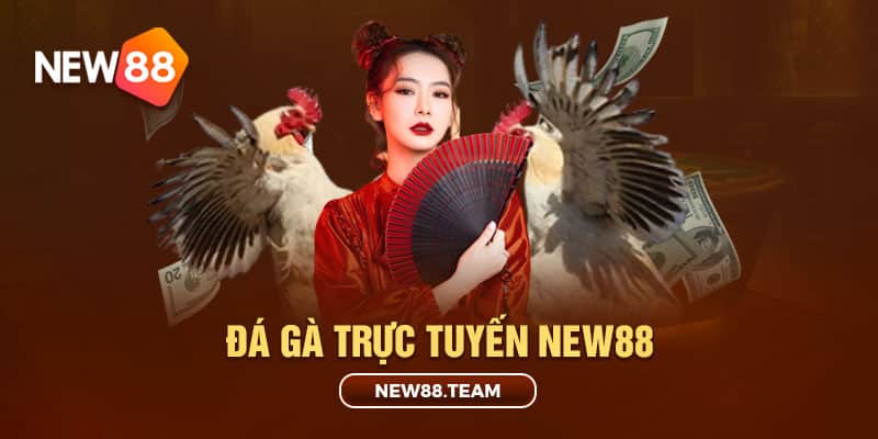 Đặt cược đá gà trực tuyến